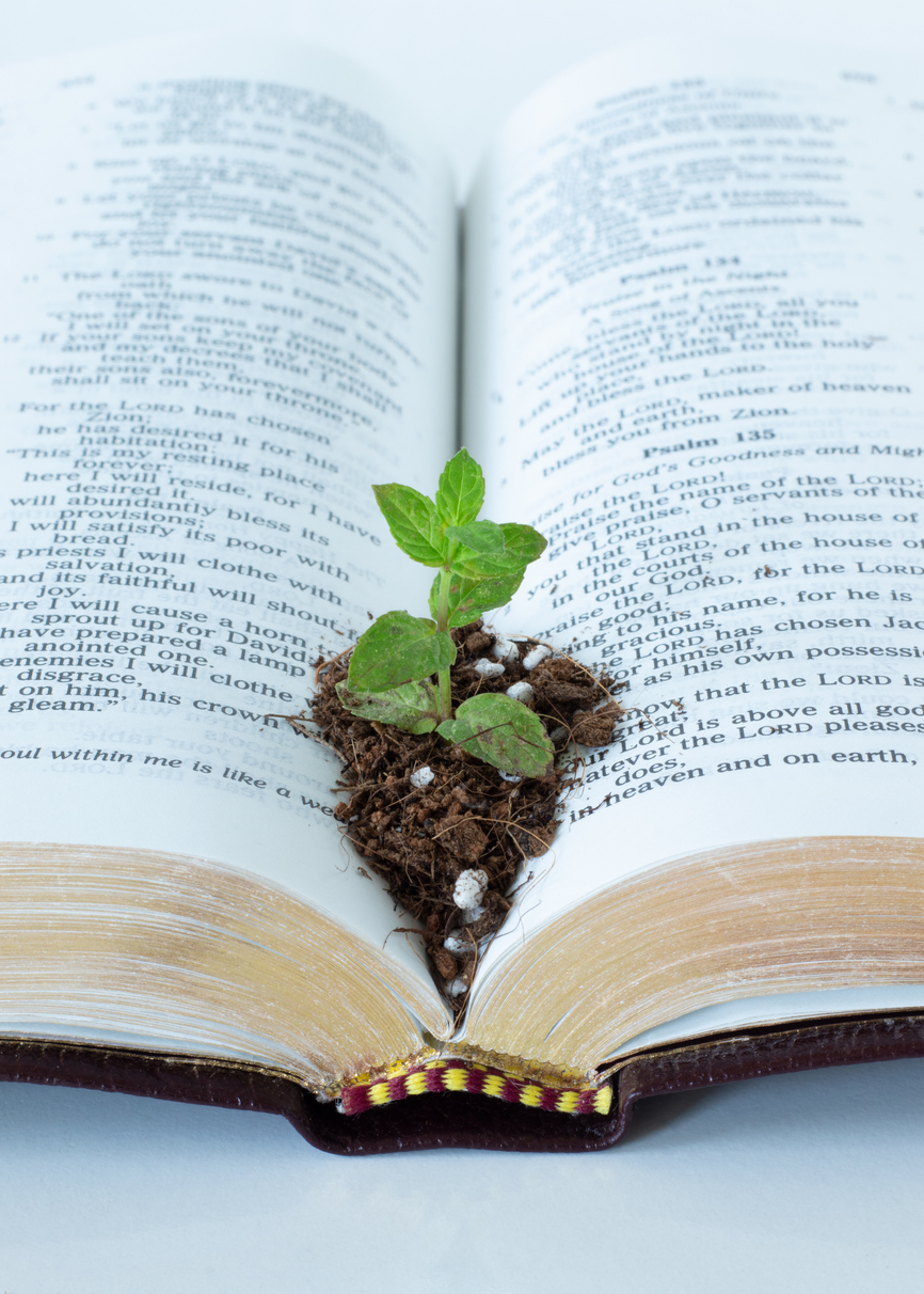 Making Disciples Through Church Planting or Planting Churches Through Making Disciples?